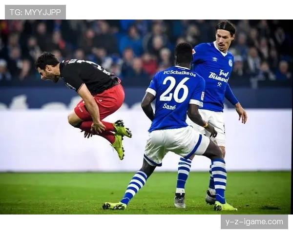 沙尔克攻防兼备状态回升,剑指联赛复兴